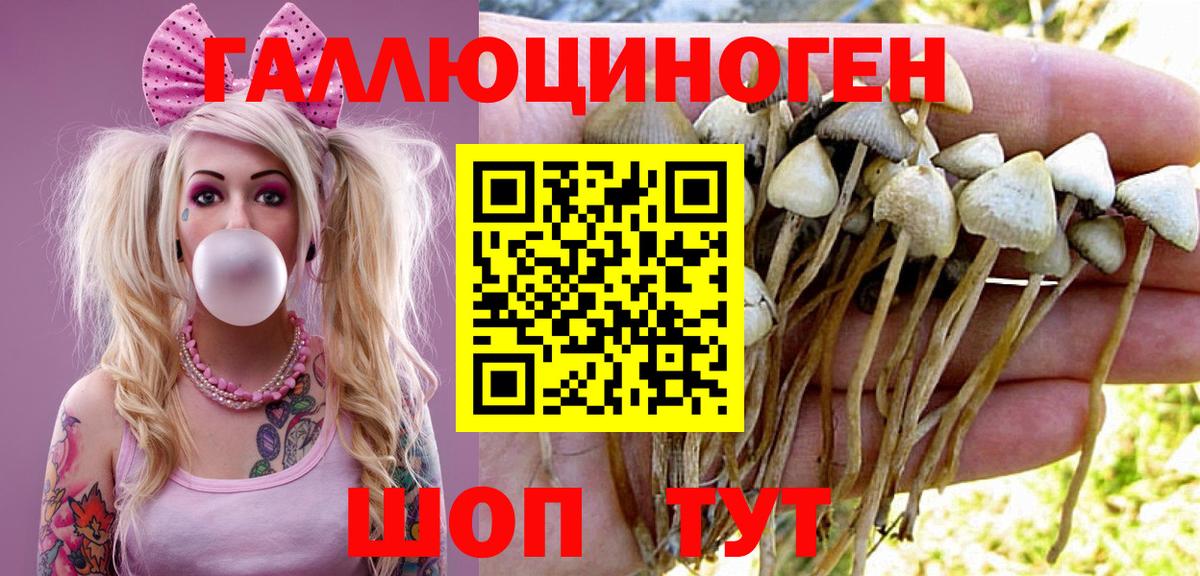 Псилоцибиновые грибы ЛСД Красноярск