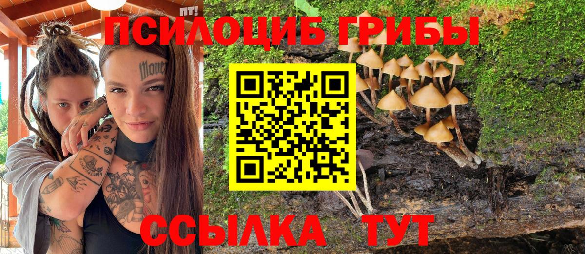 Галлюциногенные грибы Cubensis  Вход с VPN  купить наркотики сайты  Псилоцибиновые грибы мицелий  Красноярск 